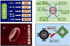 胶囊类小说