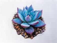 描写多肉的片段200字