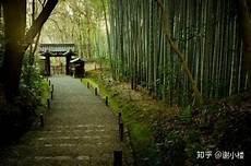 山高悦鸟性潭影空人心