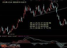 了不起修仙模拟器昆仑法会