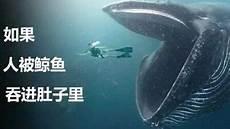 被吞下肚子
