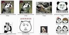 emmmm哈士奇表情包原图