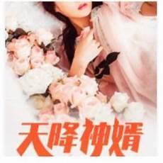 天降神婿陈黄皮叶红鱼百度云