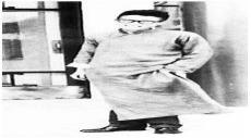 穿越成知青